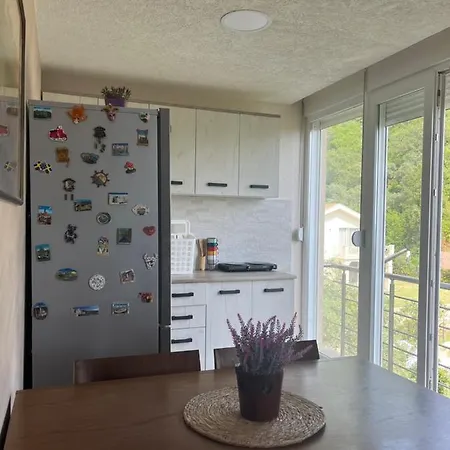 Apartment Rezevici *