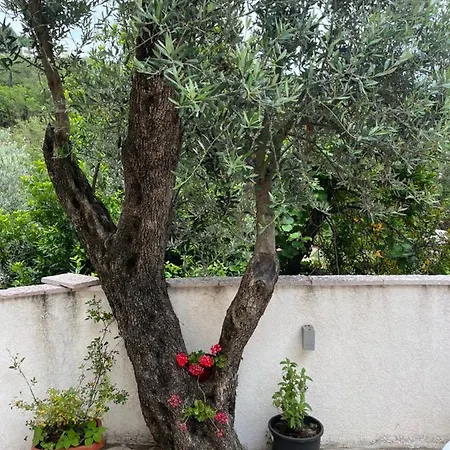 Rezevici Apartment Budva